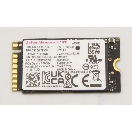 LENOVO 2242 256GB M.2 PCIE GEN3 SSD (Kutusuz) SSS0T35787 Mini
